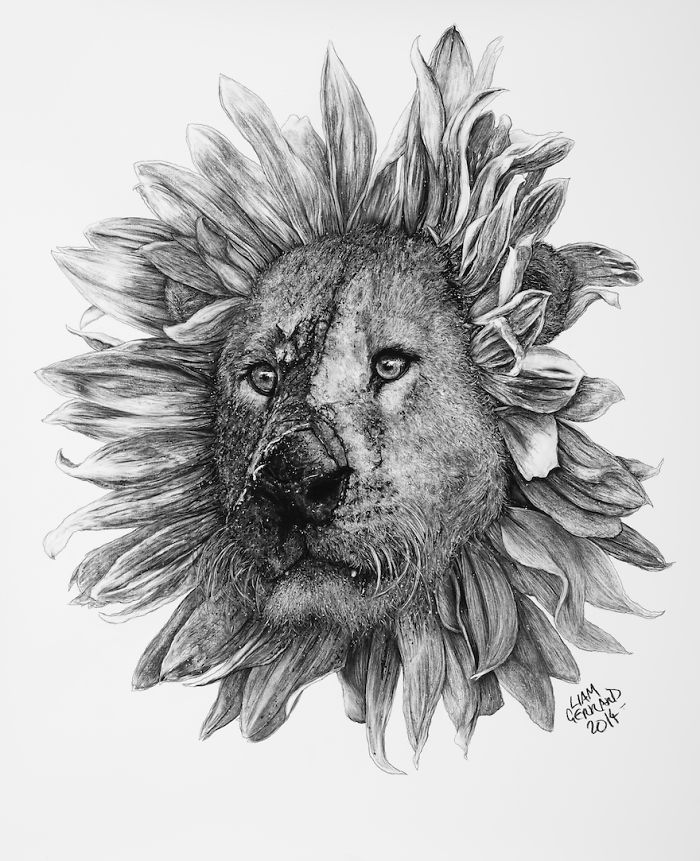 Animal Hybrids Drawn With Charcoal