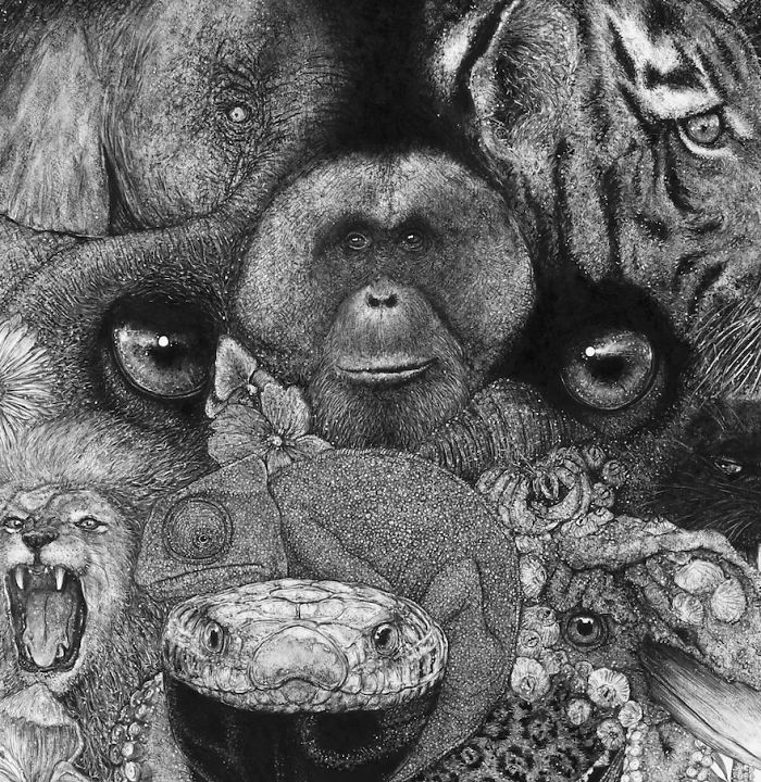 Animal Hybrids Drawn With Charcoal