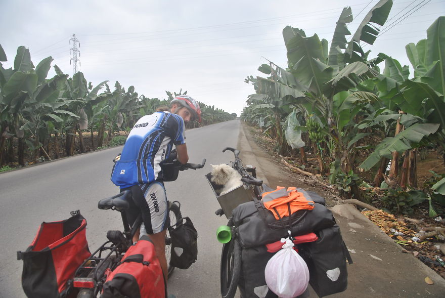 I'm Cycling 26,000 Km Around The World With My Blind Dog Tulku