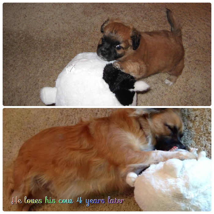 This Was His First Toy And Four Years Later It Is Still His Favorite