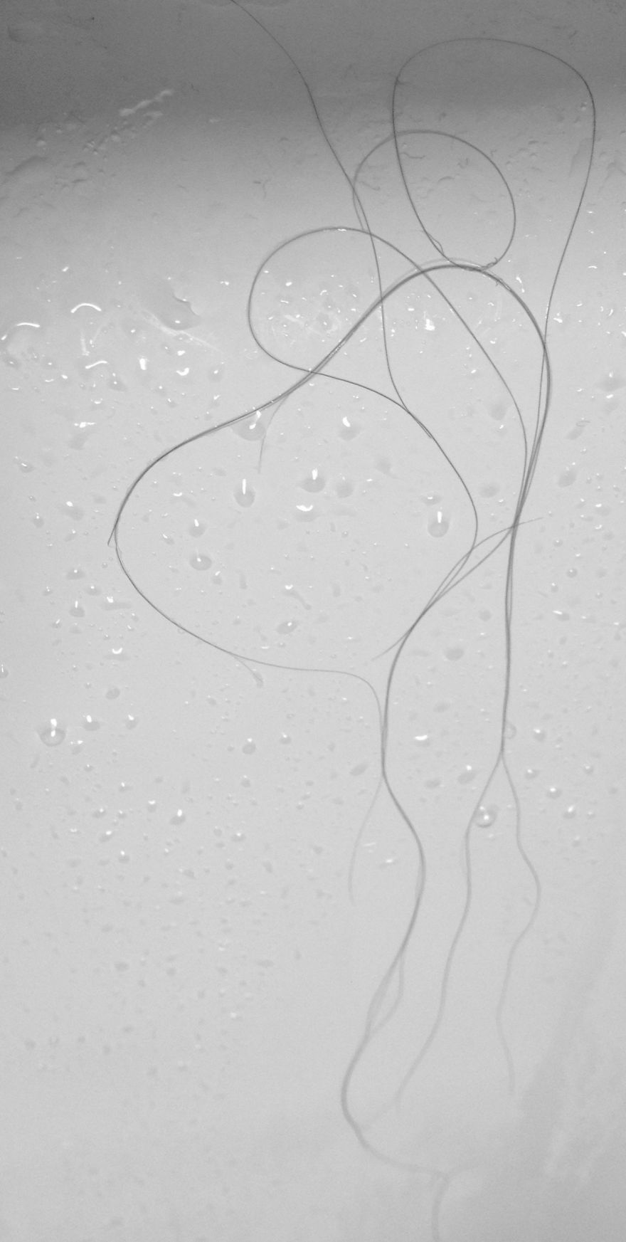 Simple, Powerful Line Drawings: Artist Draws Inspiration In The Shower