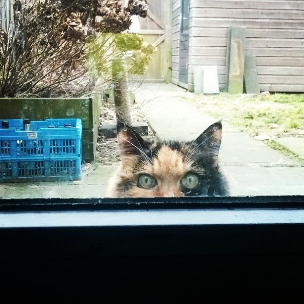 Stop Taking That Picture And Open The Door... Now