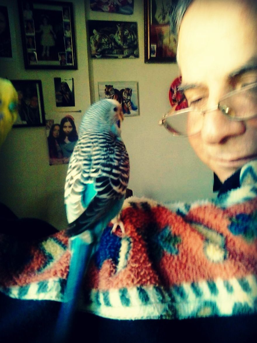 The Bird Whisperer - The Tale Of My Father And Our Two Parakeets Coconut And Scarlett