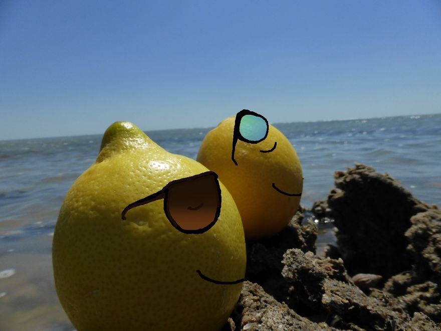 My Little Lemons' Adventures Around The World