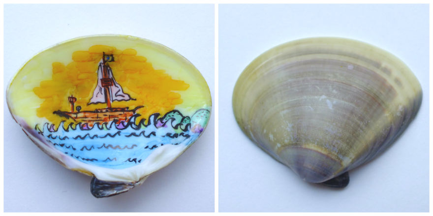 Colourful Marker Drawings On Shells