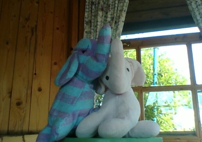 Jason (right, 36 Years Old, Bought) And Topolino (left, Sewed By My Mum, 5 Years Ago).