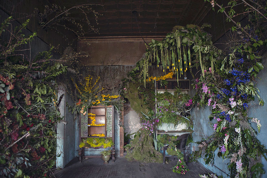 Abandoned House In Detroit Brought Back To Life With 4,000 Flowers