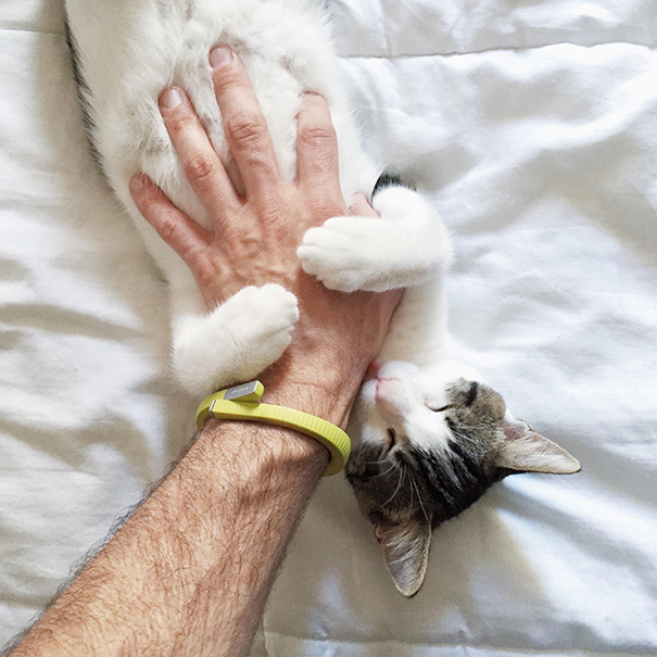 One More Belly Rub May Result In A Hand Attack, But For Now, Simon Is Giving Out Hugs And Kisses