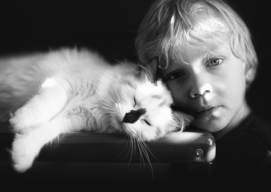 A Boy And His Cats: I Document The Bond Between My Boys And Their Cats