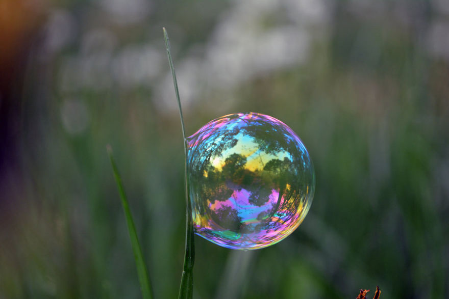 Soap Bubbles