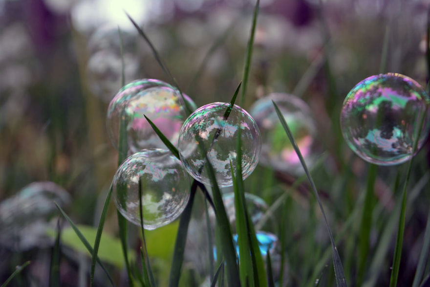 Soap Bubbles