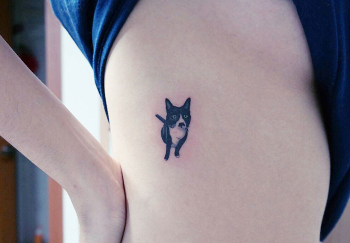 Cat Tattoos Are Probably The Cutest Way To Break The Law In South Korea