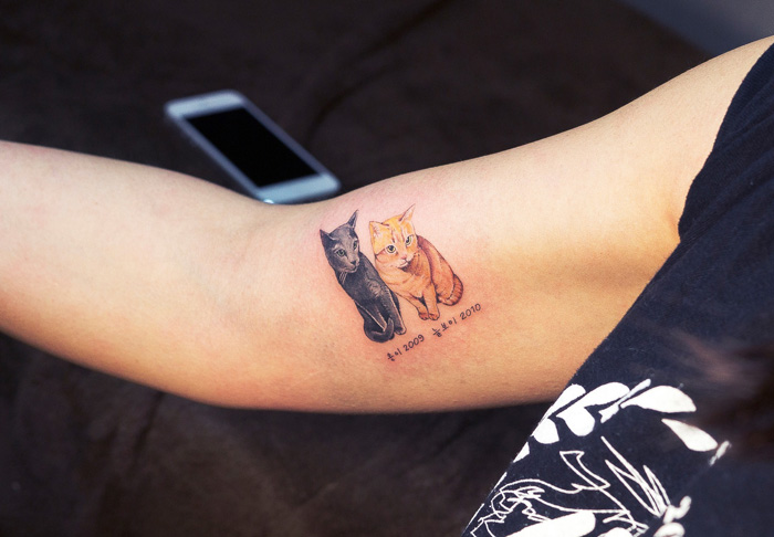 Cat Tattoos Are Probably The Cutest Way To Break The Law In South Korea