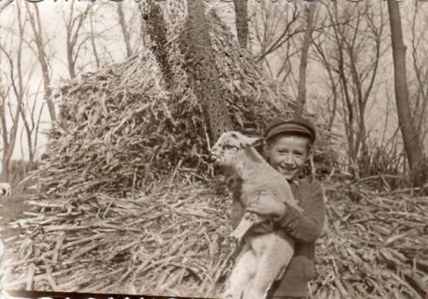 Little Boy With Lamb, Romania, Late 1960s