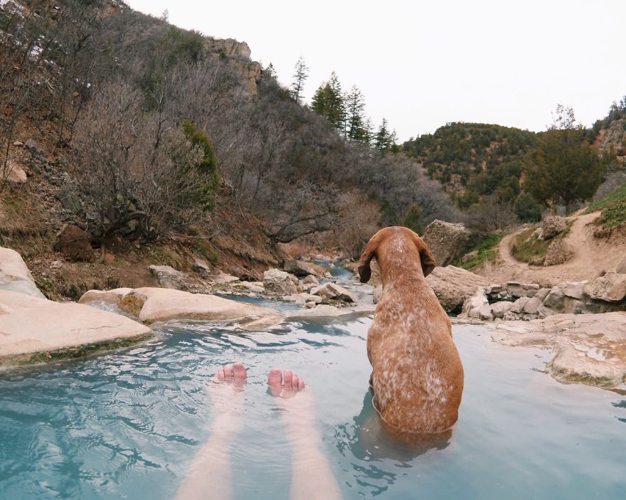 Photographer Takes His Rescued Dog Maddie On Epic Adventures