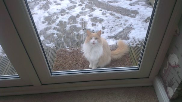 Omg Let Me In Its Cold!
