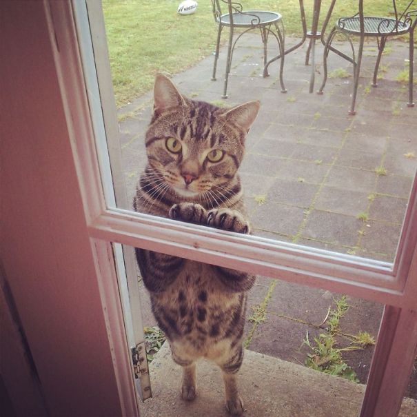 Let Me In Right Now!