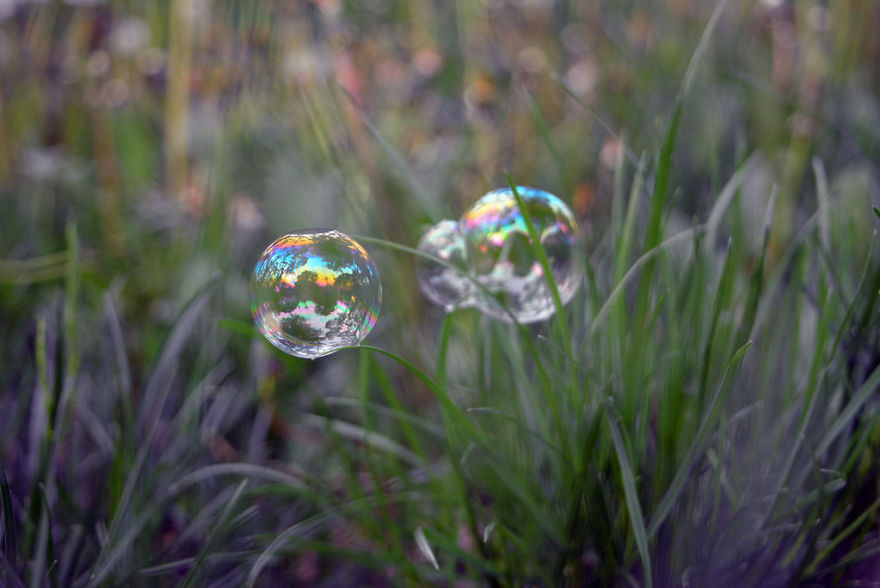Soap Bubbles