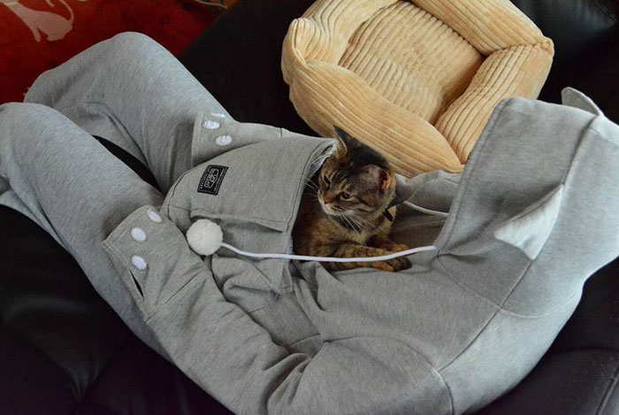 Cat Hoodie With Kangaroo Pouch Lets You Take Your Wherever You | Bored Panda