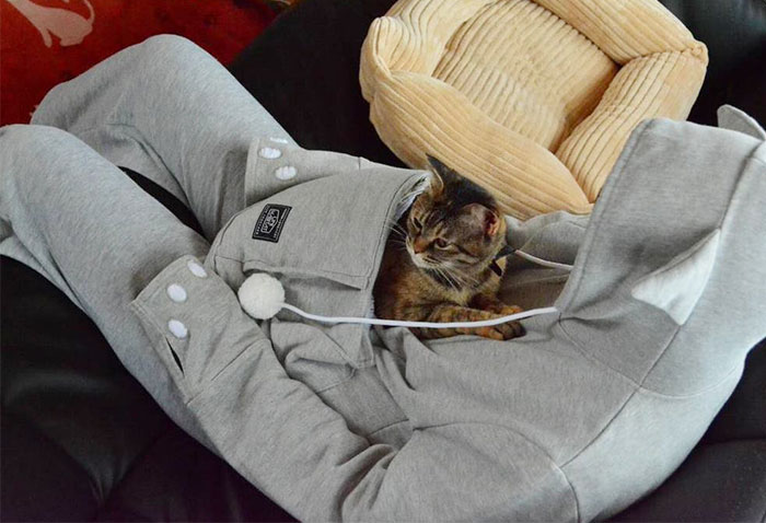 Cat Hoodie With Kangaroo Pouch Lets You Take Your Pet Wherever You Go