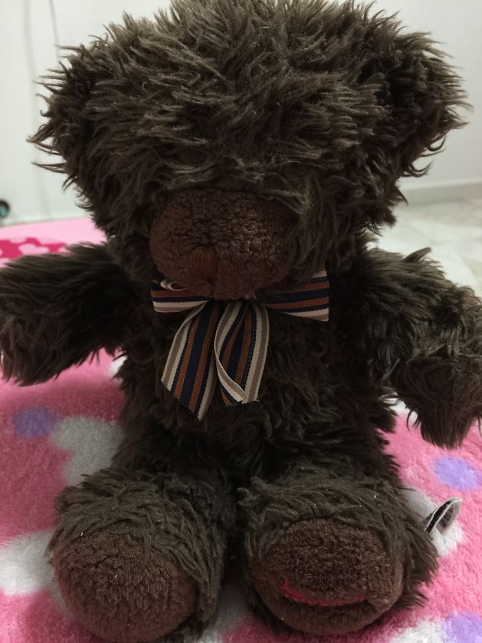 I've Had This Teddy Since I Was 6 (1994). He Is Now 21 Years Old ❤️