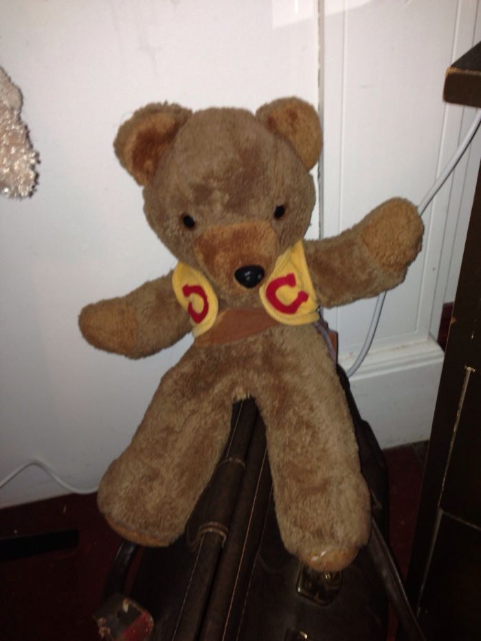 'ted'. 37 Years Old. Only Dad Was Allowed To Fix Him. Well Loved.