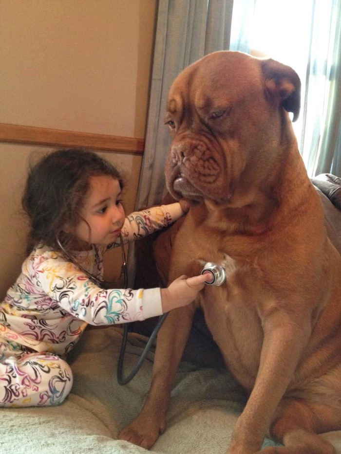 Little Girl Is Taking Care Of A Dog