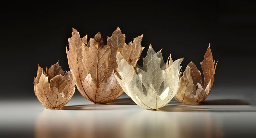 Beautiful Leaf Bowls Made From Real Leaf Skeletons