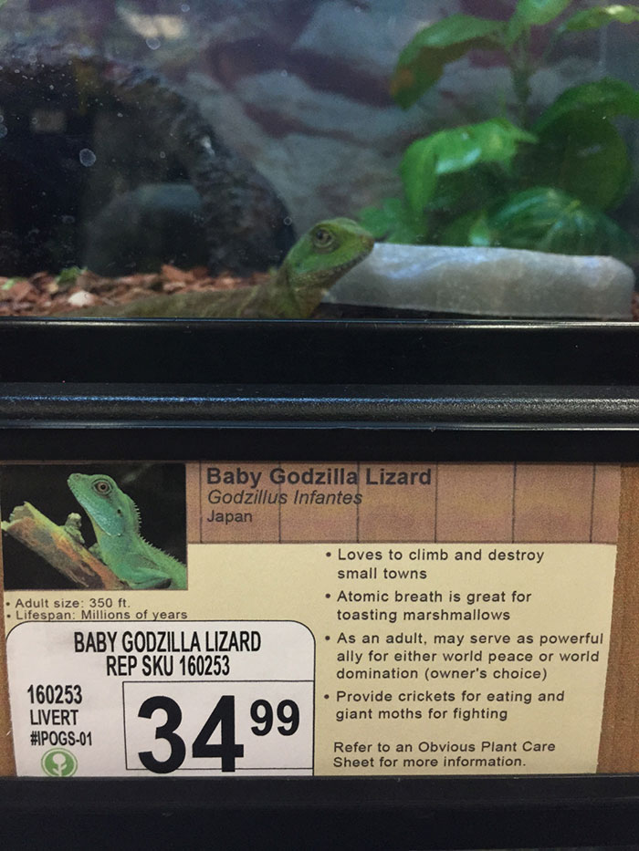 Guy Replaces Pet Names In Local Pet Store With New Hilarious Labels