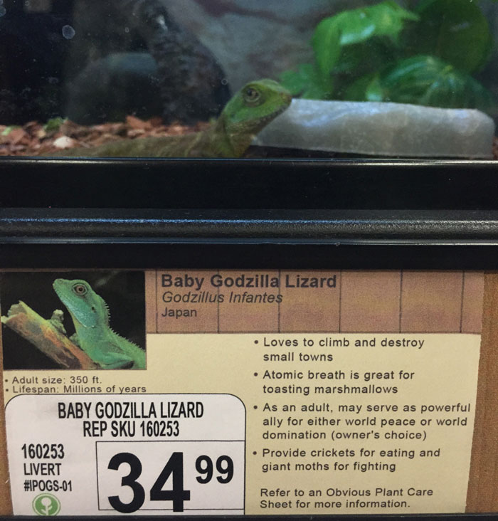 Guy Replaces Pet Names In Local Pet Store With New Hilarious Labels