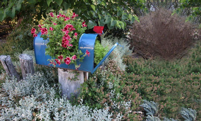 Mailbox Garden