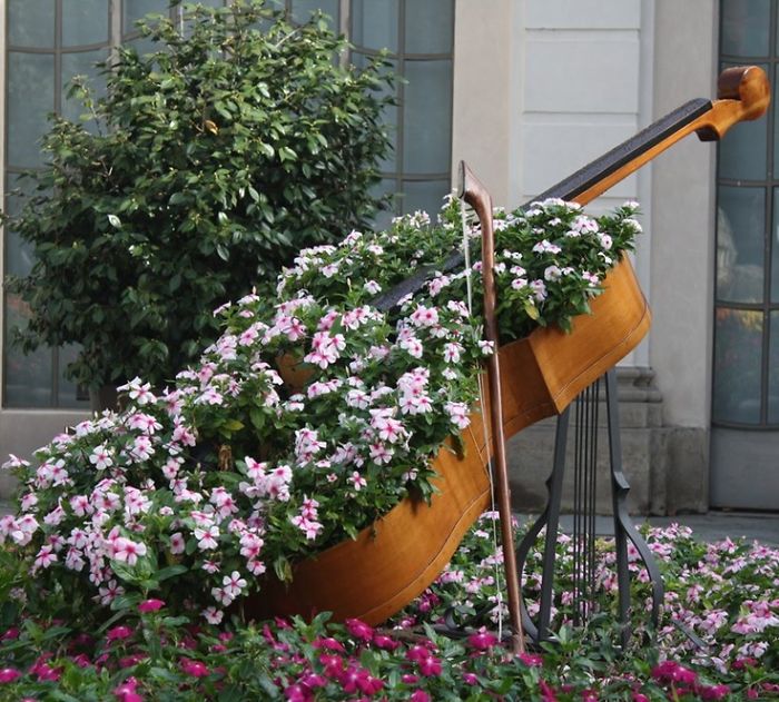 Cello Garden