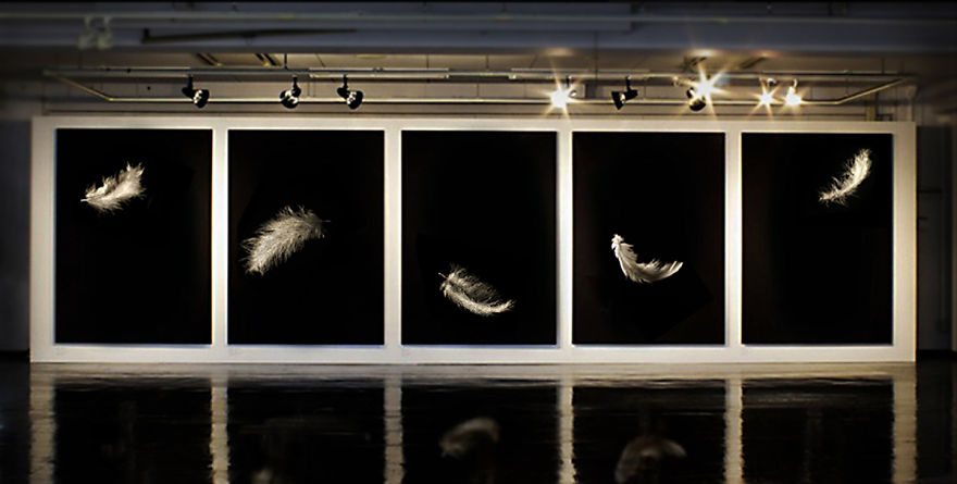 Artist Crafts Delicate Feathers Made From Thousands Of Interwoven Nude Bodies