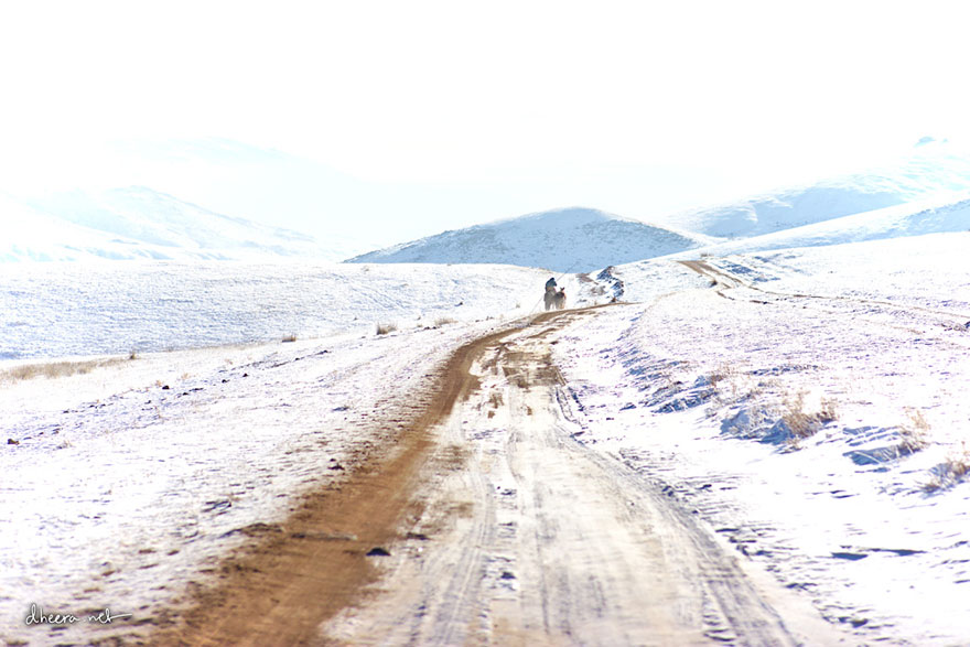 travel-landscape-photography-winter-dheera-venkatraman-mongolia-3