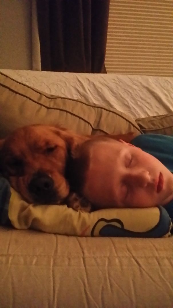 A Dog And His Boy.