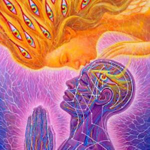 zlatanovaveselina avatar