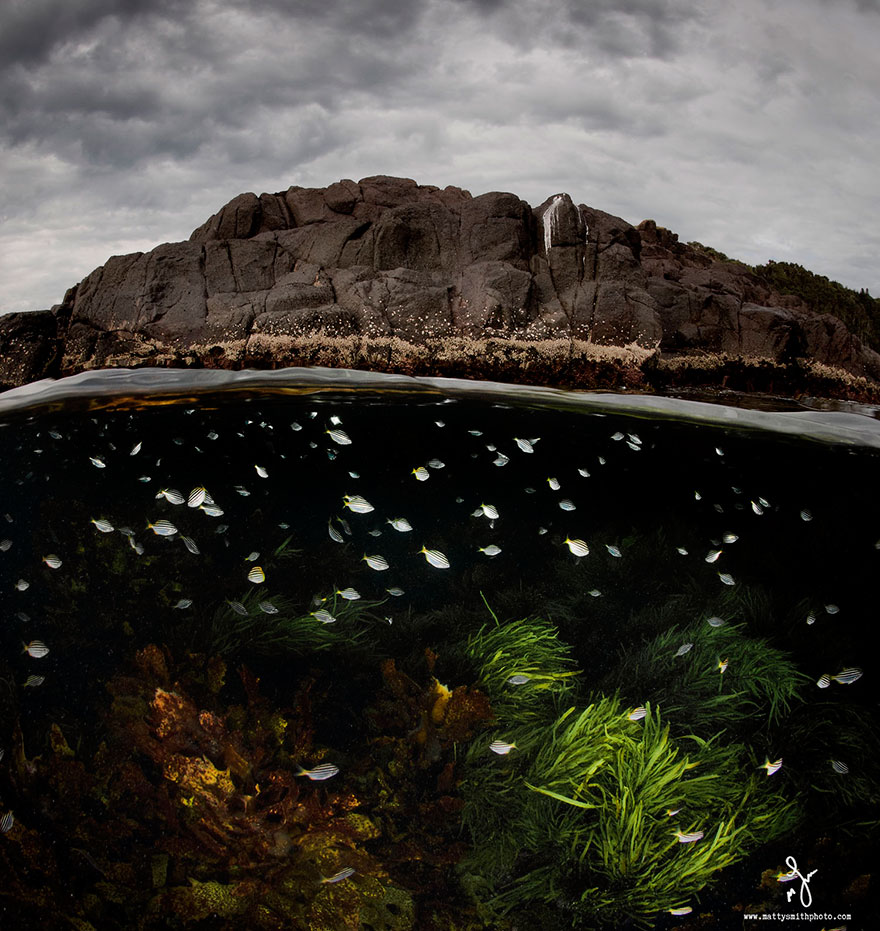 A Parallel Universe: My Half-Underwater Pics Show What Hides Beneath The Waves