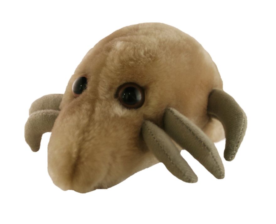 Adorable Pest Plushies To Add To Your Creepy Stuffed Animals Collection