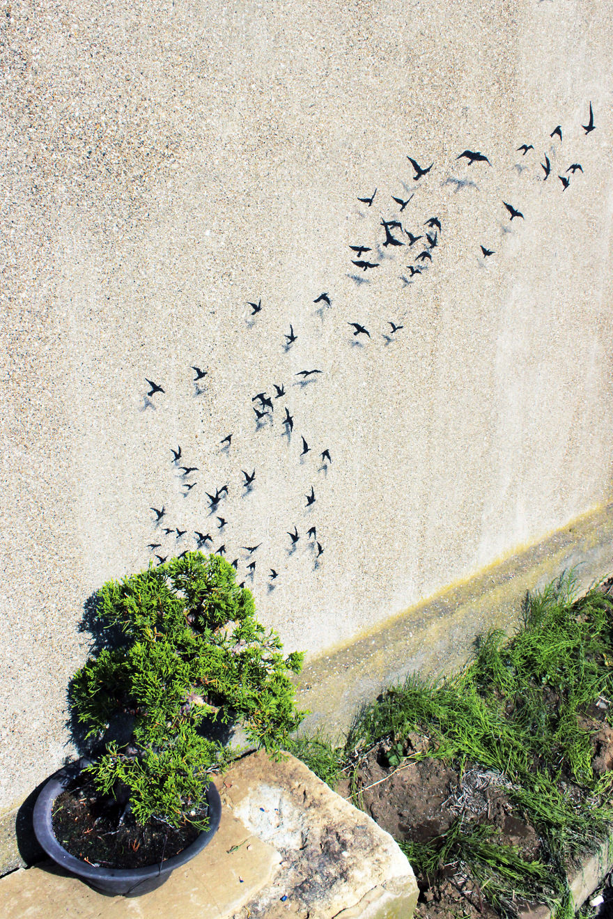 Asia’s Social And Political Issues Through The Eyes Of Pejac