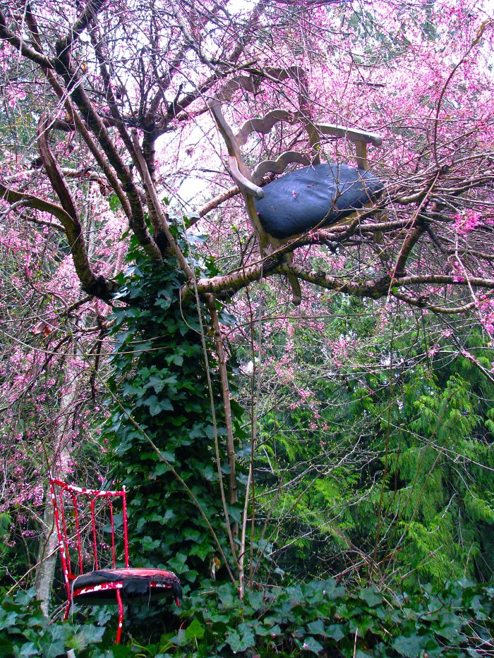 My 'chairy' Tree ...www.mardi.ca