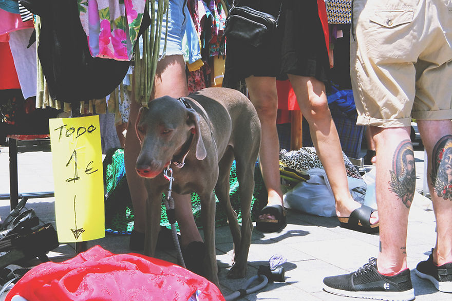Barcelona Lost & Found Flea Market Summer Edition 2015