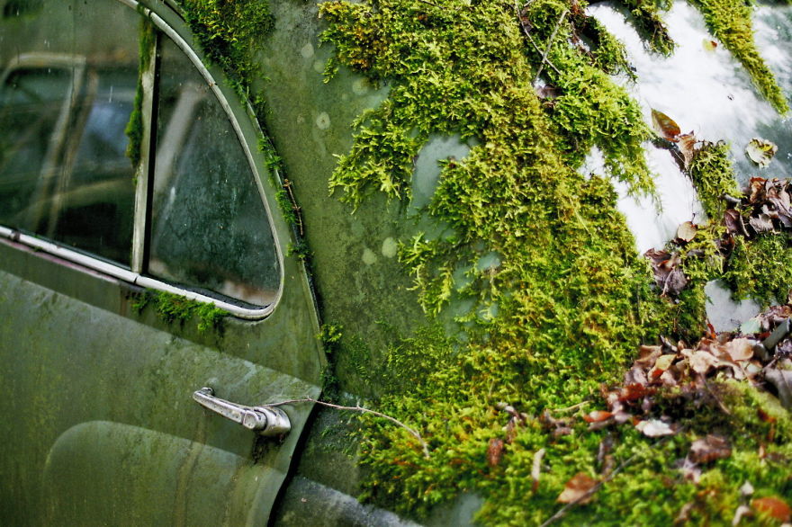 Hundreds Of Classic Abandoned Cars Hidden In Swedish Forest