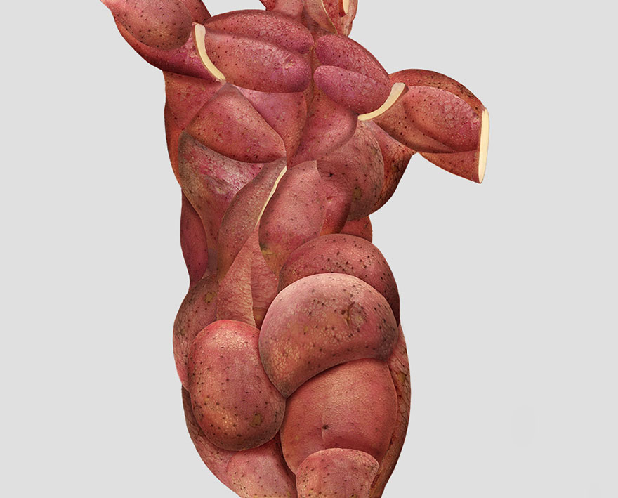 I Create Realistic Human Anatomical Parts From Fruits &amp; Vegetables