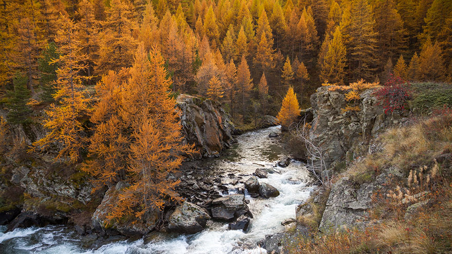 La Clarée: The Amazing 'Golden Valley' In France Becomes Hiking Heaven In Autumn