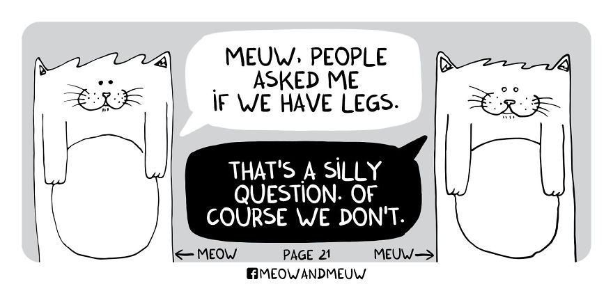 Meow And Meuw: The Cats With Sarcasm
