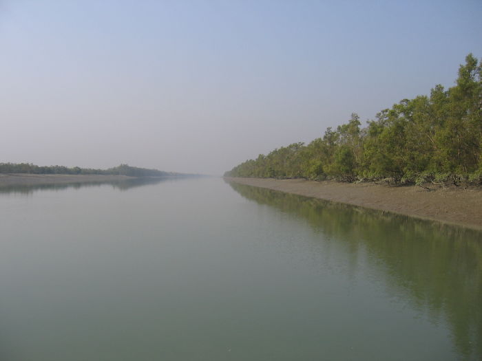 India-bangladesh Border In Sundarbans