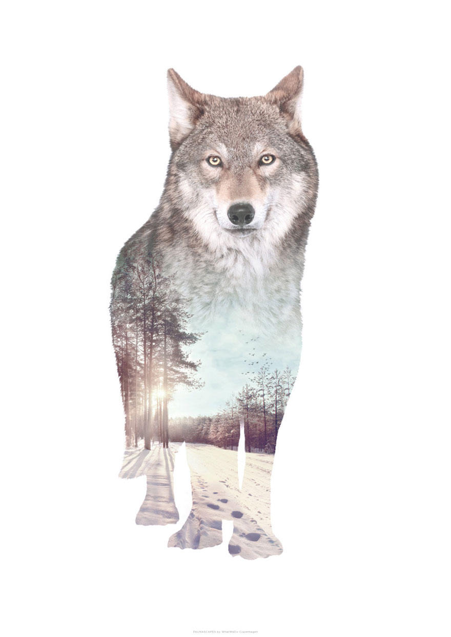 We Take Double-Exposure Animal Portraits To Escape The Daily Routine