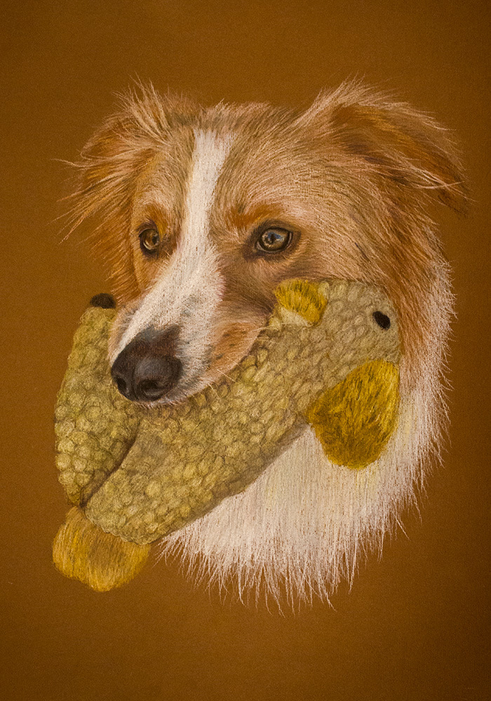 Dog Portraits Painted In Exchange For Their Stories