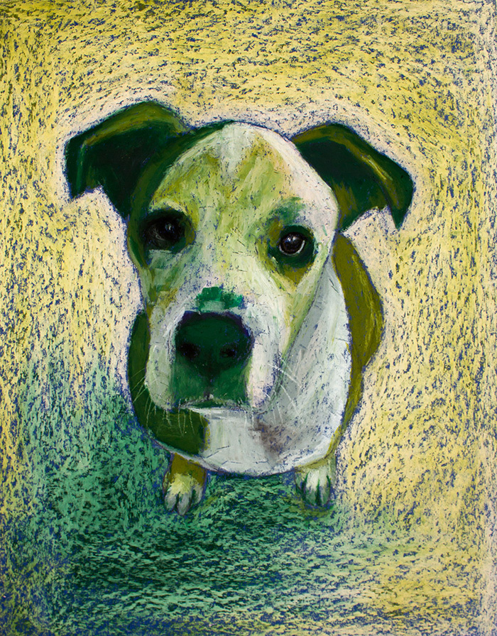 Dog Portraits Painted In Exchange For Their Stories