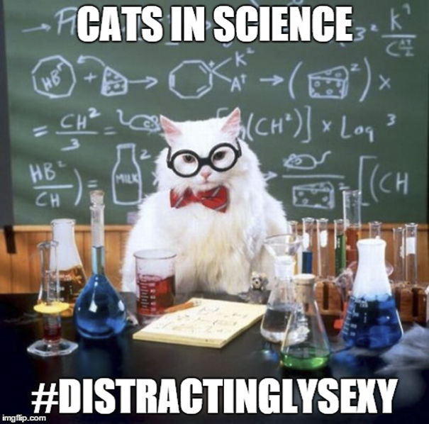 Cats In Science